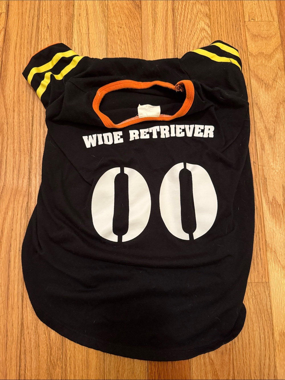 Dog ‘Wide Retriever' Black Graphic Tee with Yellow Stripes